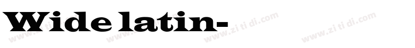 Wide latin字体转换